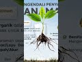 Eco Sida merupakan pengendali hama dan penyakit yang berbasis makhluk hidup (Mikroorganisme).