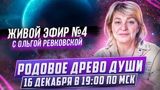 Занятие №4. Родовое Древо Души