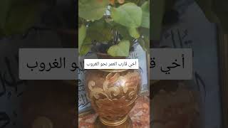 أخي قارب العمر نحو الغروب سمعها