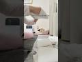 24歳オス猫🐈💛放尿生活になってから🧻✨
