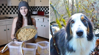 My Go To Vegan Dog Food Recipe