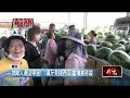 西瓜節活動