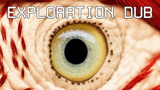 Horypnotik 🔎 Exploration dub 🔍