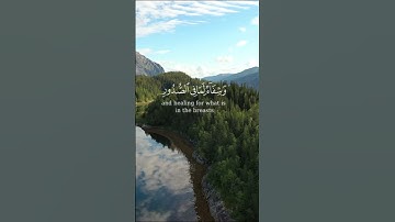 سورة يونس 57-58 | تلاوة تهز القلوب للشيخ بيشه واقادر الكردي | يا أيها الناس قد جاءتكم موعظة من ربكم