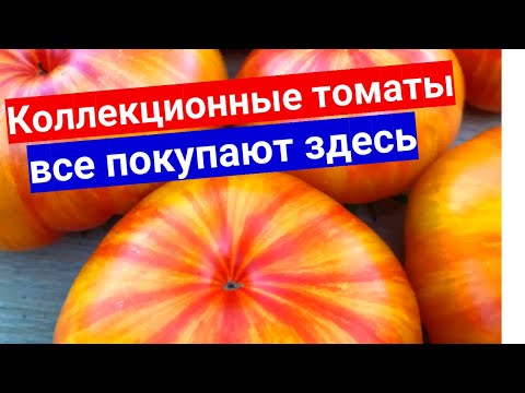 ЭТИ СЕМЕНА ВСЕ СПРАШИВАЮТ ГДЕ КУПИТЬ! СЕМЕНА МАЛИННИК.РУ - РАСПАКОВКА, ОТЗЫВ, ОБЗОР.