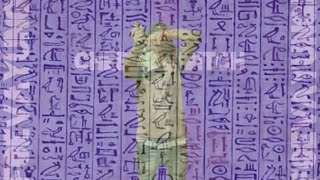 Eternalpeanut-Cheetah Btch Prod Fbs Perrynopills Official Music Video