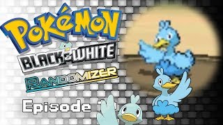 Pokémon BW Randomizer [10] - Ducklett