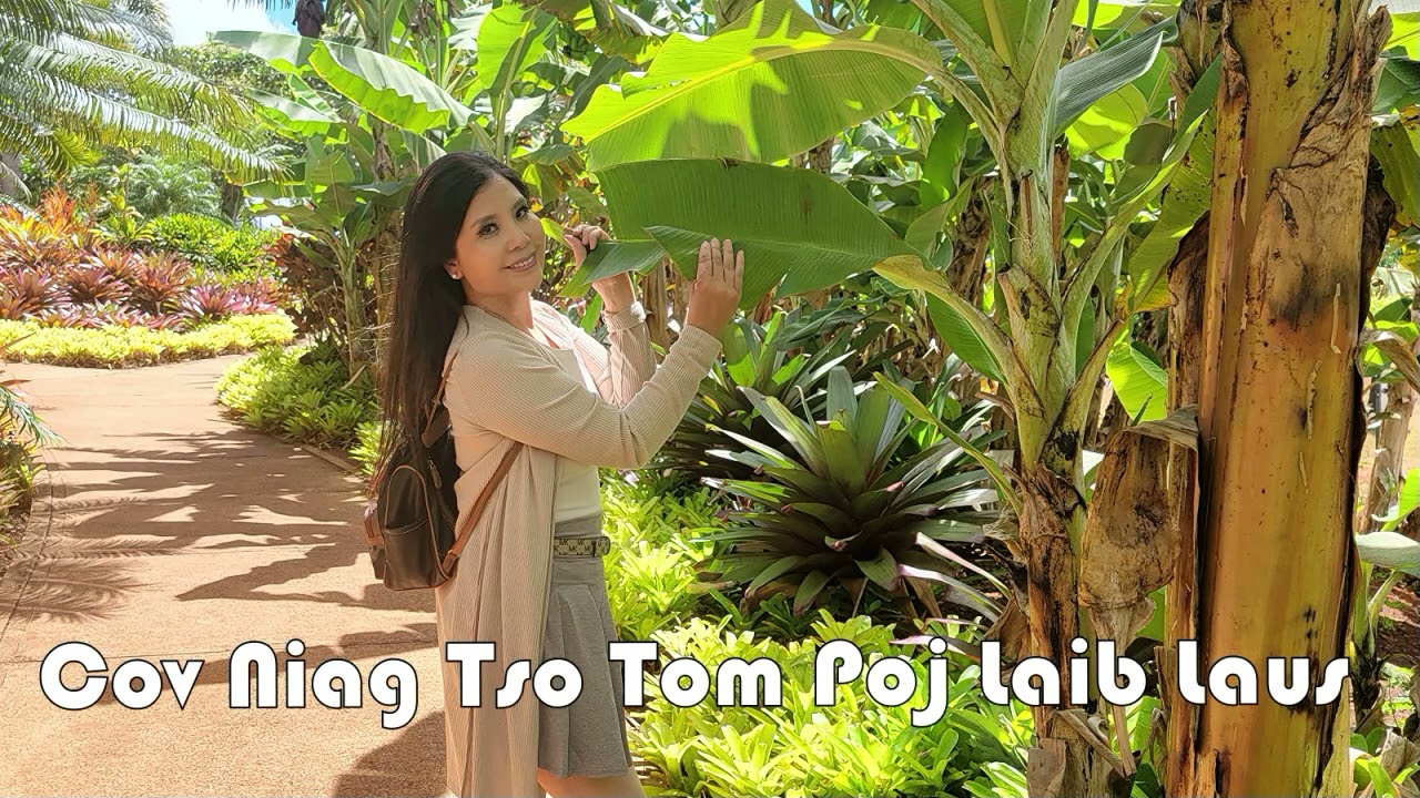 Cov Niag Tsov Tom Pojlaib Laus~01/24/2025~