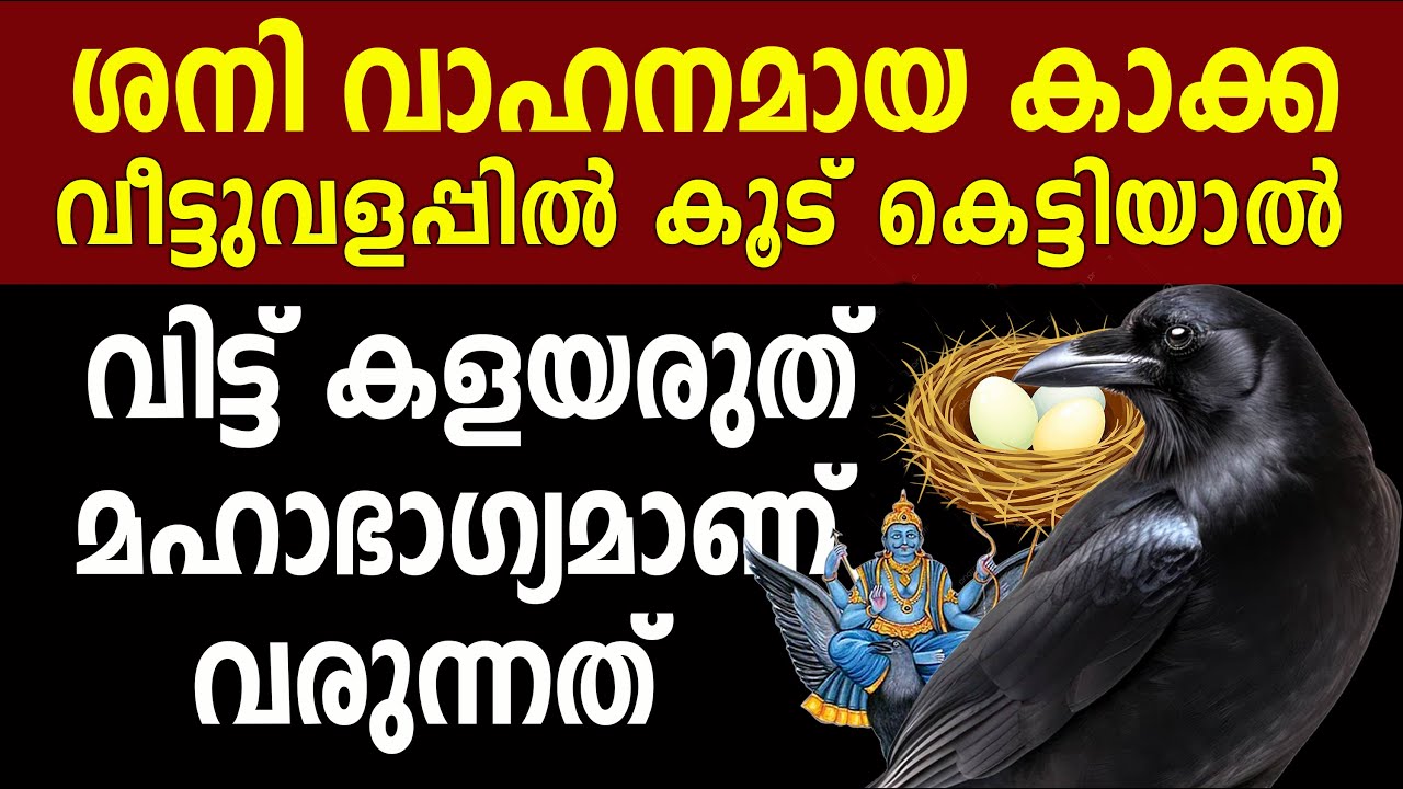 വീട്ടിൽ കാക്ക കൂട് വെച്ചാൽ ഈ കാര്യങ്ങൾ ഉടനെ നടക്കും,ശനീശ്വരൻ,shanidev,saturn