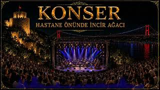 Hastane Önünde İncir Ağacı | Konser
