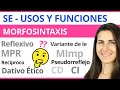 Usos y Funciones de SE 🔡 en Lengua Española