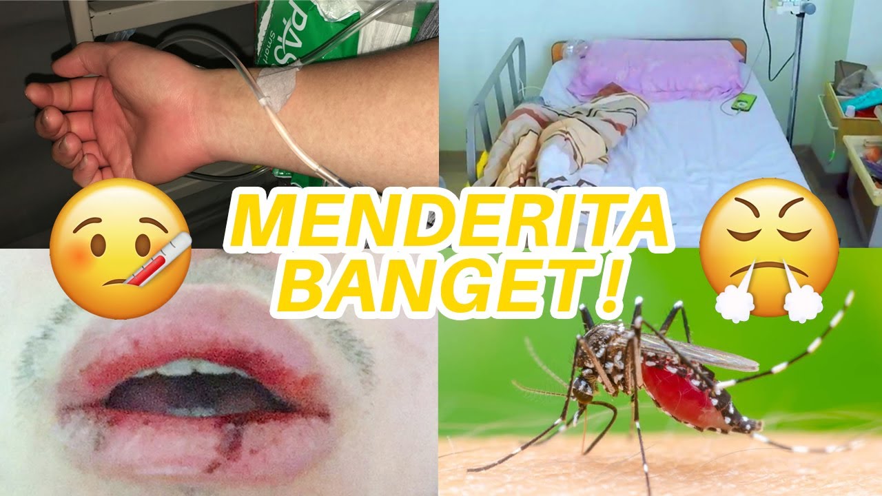 MASUK RUMAH SAKIT, GEGARA PENYAKIT DEMAM BERDARAH / Awi Willyanto