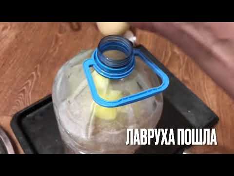 Дедовский метод хранения круп