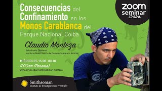 Zoom Seminar Series Claudio Monteza