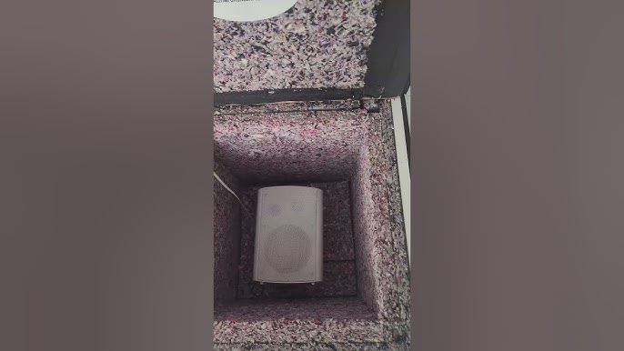 Starushki tolshki va pashki Anjelikaning rus porno surati