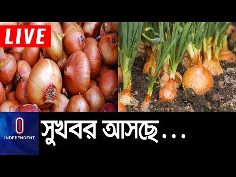 ভিডিও: সরবরাহের 7 নির্ধারক কি কি?