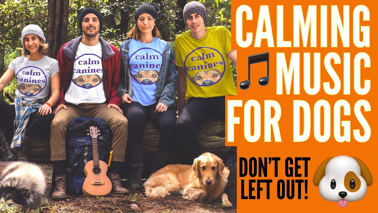 Calming Music For Lonely Dogs
