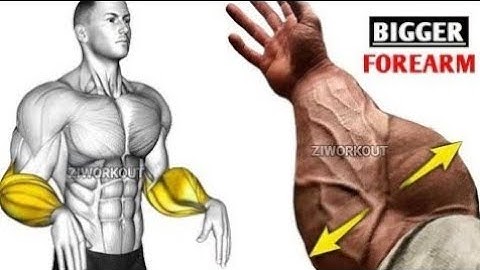 Big Forearms Exercise At Gym 