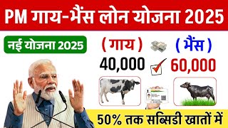 Pashupalan Loan Yojana 2025 | गाय भैंस लोन कैसे ले | Pashupalan Loan Kaise Le | Pashu Loan Kaise le