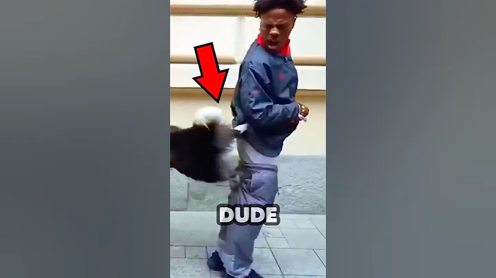 DOG TAKES SPEED PANTS OFF😂 #ishowspeed #speed