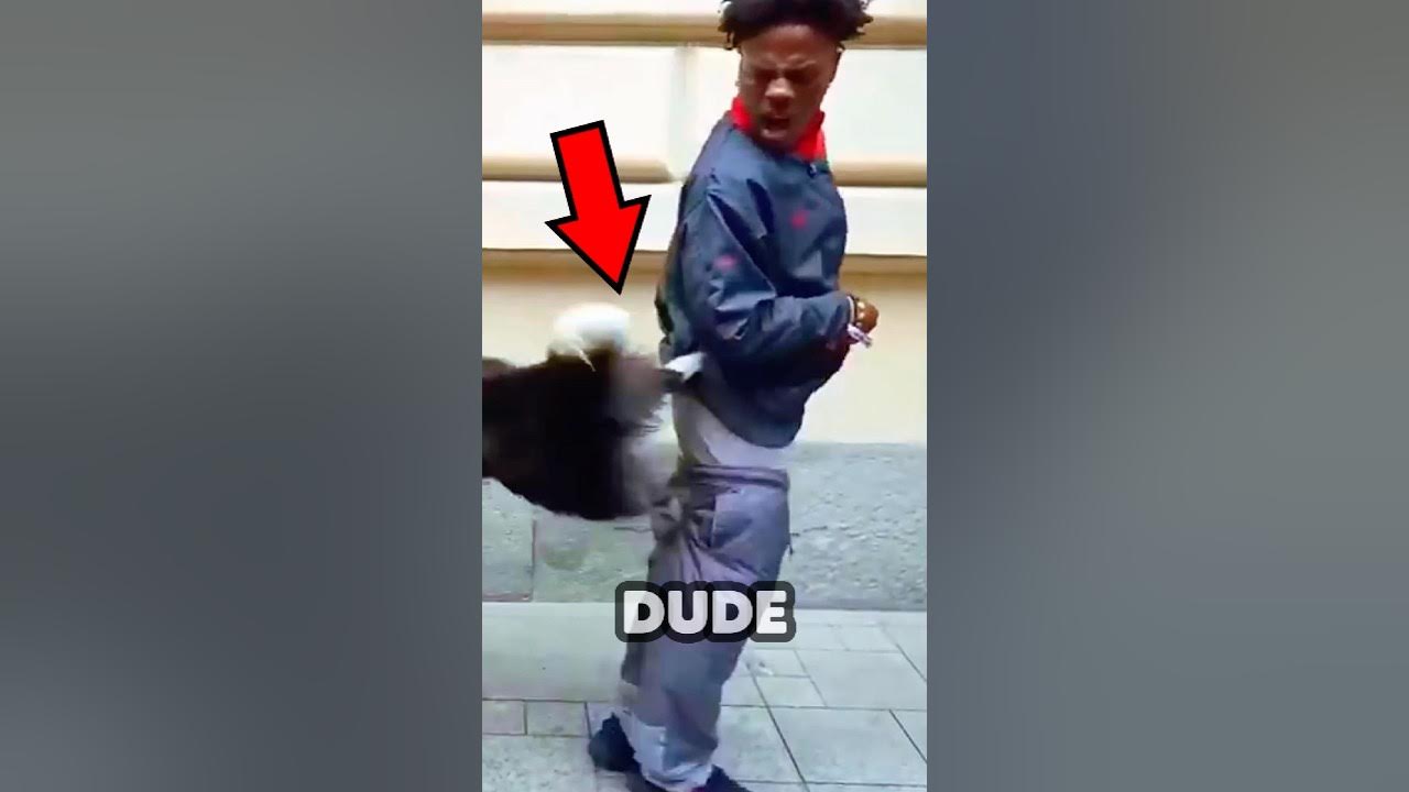 DOG TAKES SPEED PANTS OFFπ #ishowspeed #speed DOG TAKES SPEED PANTS OFFπ #ishowspeed #speed