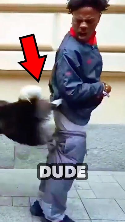 DOG TAKES SPEED PANTS OFF😂 #ishowspeed #speed
