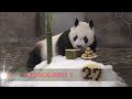 タンタン27歳誕生日：ささやかなプレゼント