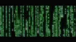 The Buddha Matrix.flv