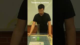 Elefantin Hammastahna