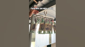 Dọn nhà sau mùa lũ kiểu #thinhhanh #xuhuongtiktok #xuhuongyoutube