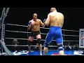 Fedor emelienaneko russia vs egidijus valavicius lithuania  mma fight