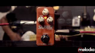 QUICK REVIEW | TC Electronic Shaker Mini | Vibrato