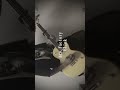 Age Factory/Blink 弾いてみた #ギター #guitar #弾いてみた #agefactory #邦ロック