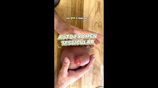 Algun Bulto En El Testiculo? Aprende Como Exr Tus Testiculos Con Dr. Uro Intimo