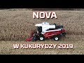 Zbiór kukurydzy na ziarno 2019 🌽 kombajn Nova 330 Rostselmash | WYDAJNOŚĆ | CZYSTOŚĆ