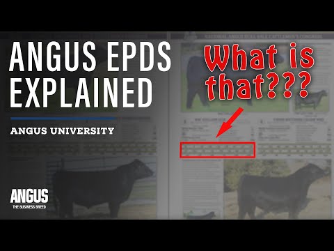 EPDS AND GENOMICS 101 - Expected Progeny Difference EXPLAINED