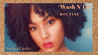 Wash N Go Routine! | Natural Hair (No Gel)