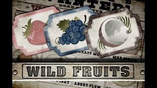 Wild Fruits Slot Machine By Endorphina ✅ Bonus Feature Gameplay ⏩ DeluxeCasinoBonus screenshot 3