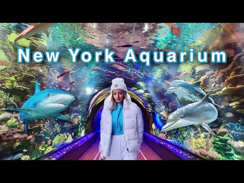 ნიუ იორკის აკვარიუმი | ვლოგი | natia mua