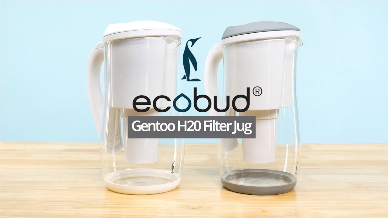 Gentoo Water Filter Jugs for Clean, Safe Drinking Water | Health