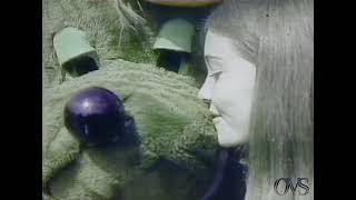 WHSV-TV 3  6/20/78 Station Breaks...