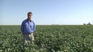 Herbicide research trials 2018-19