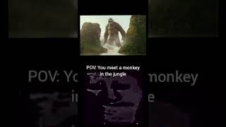 Pov You Meet A Monkey In The Jungle