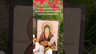Yo, un pequeño peluche suave de tigre ,y un icono con una partícula de la tumba de San Ambrosio ☦️