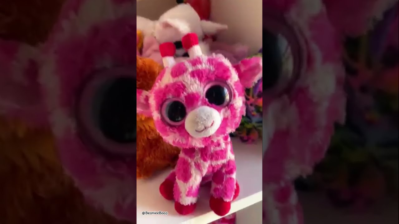 Collector Check Ty Beanieboos Cute Collection Stuffedanimals