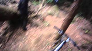 FILE0022-1.MOV