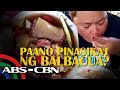 Paano siya sumikat dahil sa Balbacua? | Rated K