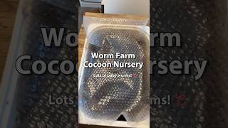 Worm Farming For Beginners | Cocoon Nursery #vermicomposting