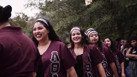 Fall 2019 Yardshow - Unidos