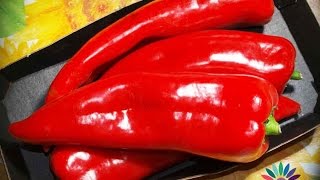 Kurtovska Kapia Peppers - Seeds Of Peppers For Salad With Roasted Peppers